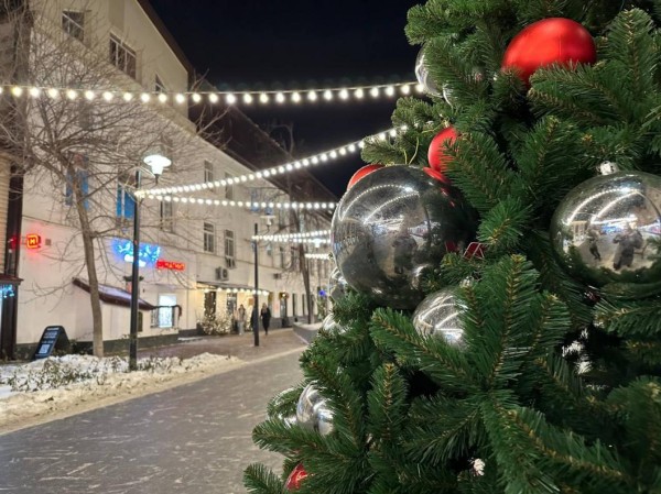 Как сибиряки отмечали Новый год до революции, рассказала тюменская "купчиха" Как сибиряки отмечали Новый год до революции, рассказала тюменская "купчиха"