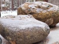 Уникальный музей минералов и пород создают под Тюменью 