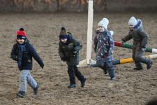 Более 300 юных тюменцев посетят новогодние утренники в конном клубе "Аллегро" до конца года