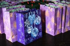 Более 300 юных тюменцев посетят новогодние утренники в конном клубе "Аллегро" до конца года