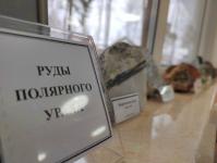 Уникальный музей минералов и пород создают под Тюменью 