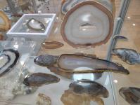 Уникальный музей минералов и пород создают под Тюменью 