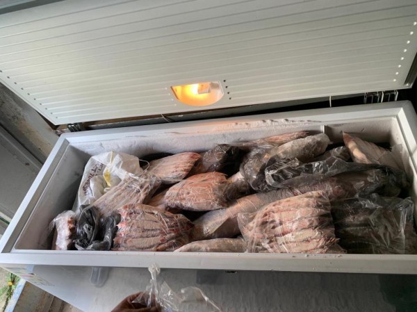 Браконьеры выловили в Тобольском районе осетров и стерляди на 91 млн рублей