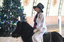 Более 300 юных тюменцев посетят новогодние утренники в конном клубе "Аллегро" до конца года