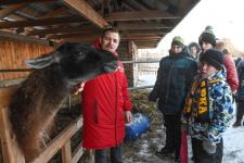 Более 300 юных тюменцев посетят новогодние утренники в конном клубе "Аллегро" до конца года