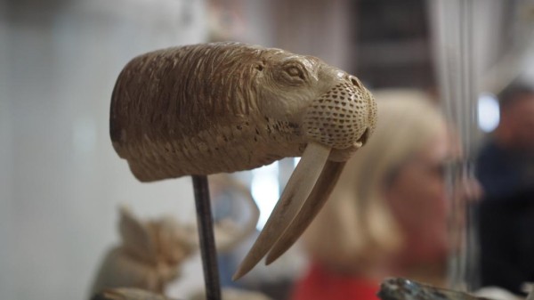 Работы 13 мастеров-косторезов выставили в галерее сувениров в Тюмени