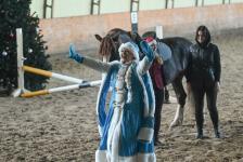 Более 300 юных тюменцев посетят новогодние утренники в конном клубе "Аллегро" до конца года