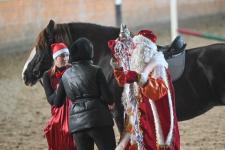 Более 300 юных тюменцев посетят новогодние утренники в конном клубе "Аллегро" до конца года