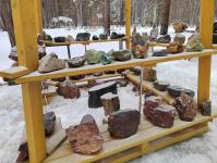 Уникальный музей минералов и пород создают под Тюменью 