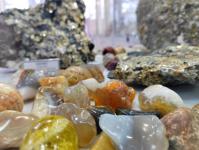 Уникальный музей минералов и пород создают под Тюменью 