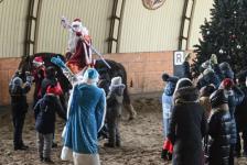 Более 300 юных тюменцев посетят новогодние утренники в конном клубе "Аллегро" до конца года