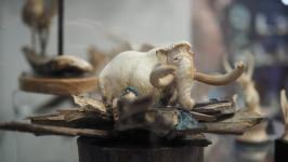 Работы 13 мастеров-косторезов выставили в галерее сувениров в Тюмени