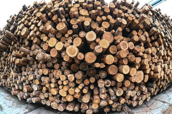 В Вагайском районе для инвесторов доступны четыре площадки