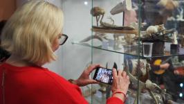 Работы 13 мастеров-косторезов выставили в галерее сувениров в Тюмени