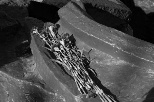 Александр Моор выразил соболезнования родителям погибшей девочки из ЛНР