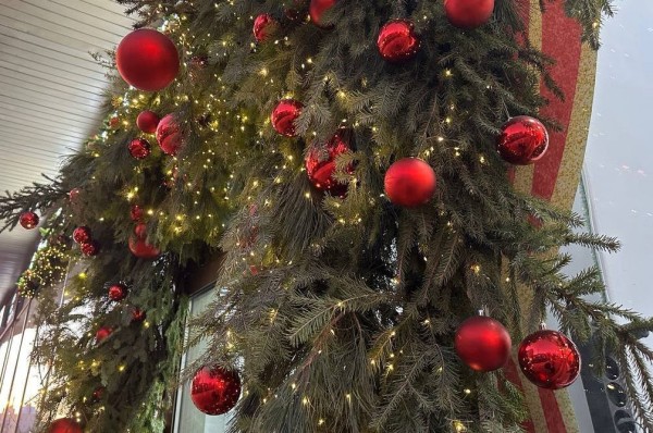 Александр Моор исполнит мечты трех ребят в рамках акции "Елка желаний"