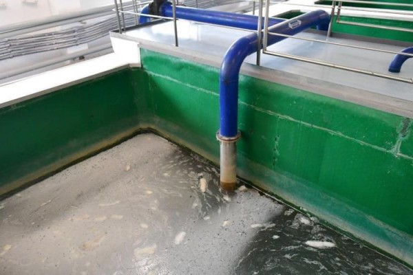 Тело пропавшего на очистных сооружениях тюменского рабочего нашли у озера Тело пропавшего на очистных сооружениях тюменского рабочего нашли у озера