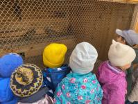 Победитель проекта "Сельский школьный стартап" в Тобольском районе получит 100 тыс. рублей&nbsp;