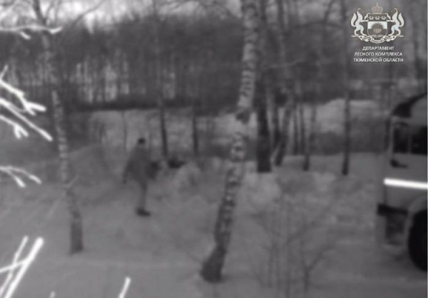 Водитель ассенизаторской машины снял с дерева фотоловушку в Ишимском районе