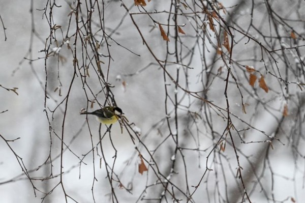 11 февраля - события дня