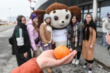 Делегация Тюменской области отправилась на Всемирный фестиваль молодежи в Сочи