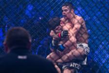 Тюменские бойцы одержали пять побед на турнире RCC 18