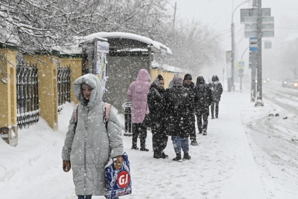 Тюменцев приглашают на автовыставку в&nbsp;сквер Якова Неумоева 2 марта