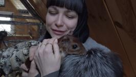 Детеныша паки из тюменского зоопитомника назвали Никки