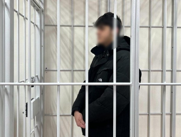 Подозреваемые в хулиганстве тюменские подростки заключены под стражу