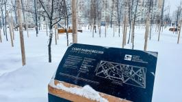 Скатиться с горки и сфотографироваться на фоне арт-объекта могут тюменцы в сквере Равновесия