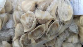 Жителей и гостей Тобольска угощают пельменями на фестивале на Базарной площади