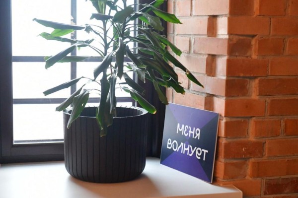 Тюменские депутаты поддержали жесткие меры борьбы с треш-стримерами