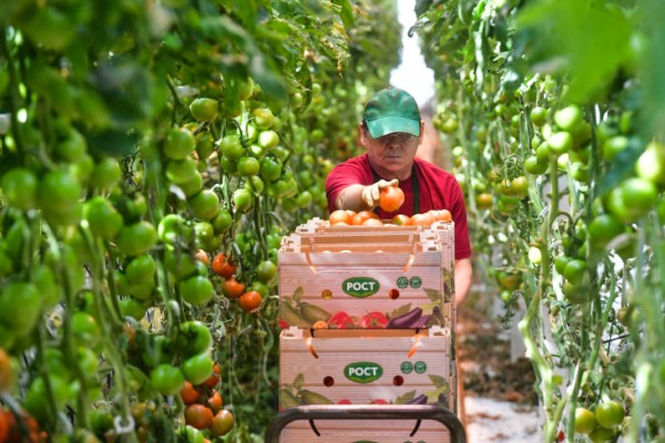 В Тюменской области годовая инфляция увеличилась до 5,47 % в январе