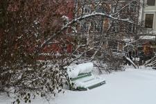 В Тюмени сквер Згерского со сценой и виолончелью откроют в октябре 2024 года В Тюмени сквер Згерского со сценой и виолончелью откроют в октябре 2024 года