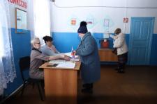 Досрочное голосование на выборах президента РФ проходит в Голышмановском округе 