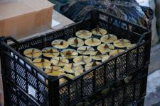 Более 1 тыс. тонн грузов для бойцов и мирных жителей передала Тюменская область с начала СВО