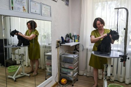 Кредитный портфель МСП Тюменской области увеличился за год на 19 %
