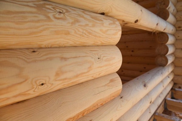 Примерить рубашку и оценить формы: эксперт дал тюменцам советы по выбору деревянного дома