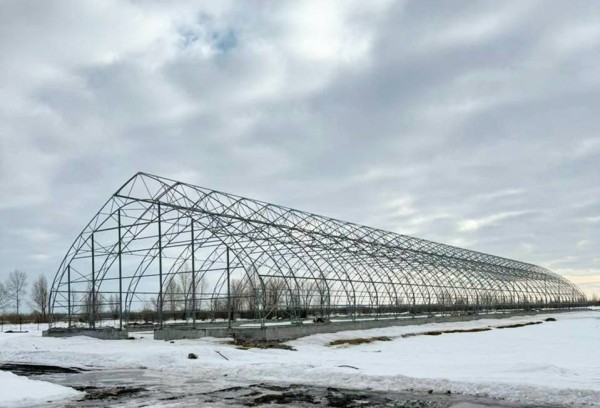 Первую очередь семеноводческого центра в Борках запустят в июне 2024 года 