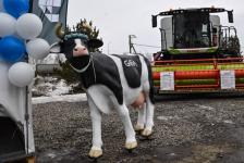 Высокотехнологичные новинки представляют предприятия России на выставке "Тюмень Агро-2024"