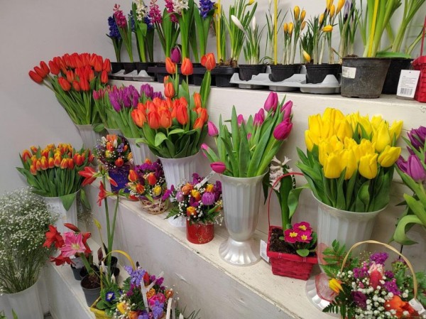 Роспотребнадзор: не все тюльпаны выдерживают соседство с красными розами и ландышами 