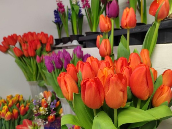 Александр Моор поздравил жительниц Тюменской области с первым весенним праздником