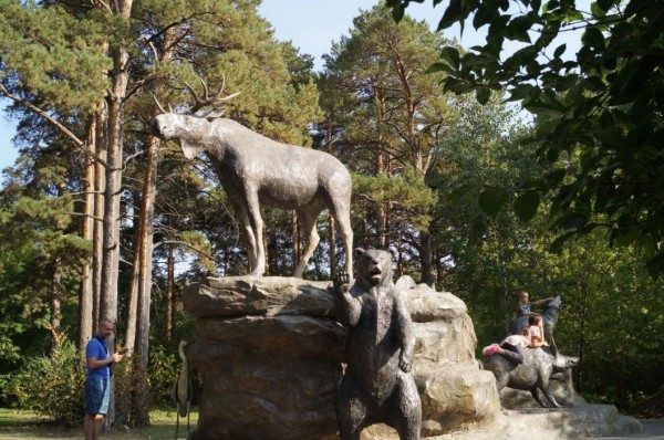 Тюменские депутаты высоко оценили работу по сохранению городских лесов