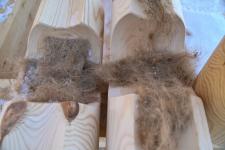 На аллее деревянного домостроения в Тюмени возвели стены первого дома 