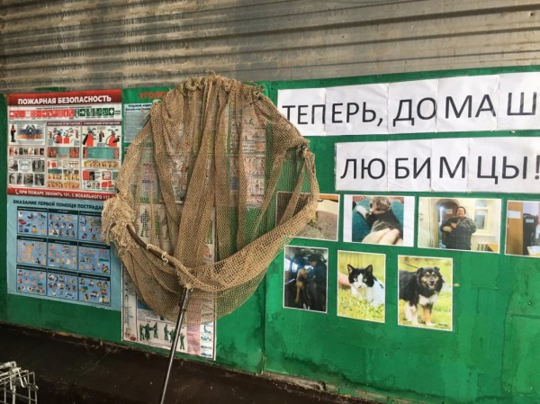 Тюменских депутатов познакомили с работой приюта для бесхозяйных животных