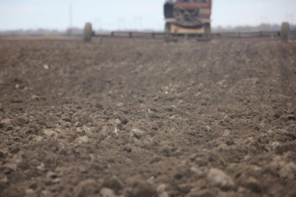 Боронование полей под овощи проводят в Тюменском районе