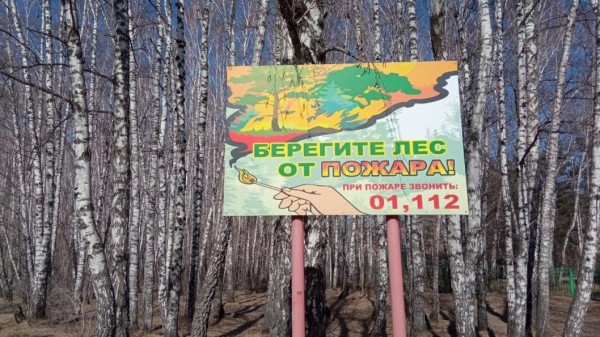 Пожароопасный сезон начнет действовать в лесах Тюменской области с&nbsp;5 апреля