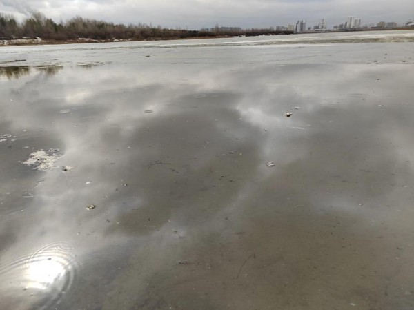 В Тюменской области рыбак провалился под лед и погиб 