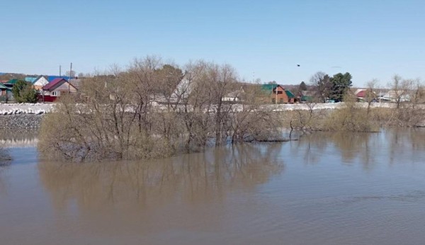 Пик паводка в Викуловском районе ожидают 5 и 6 мая