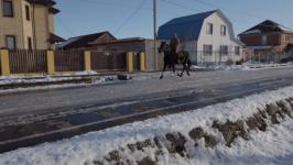 Участковый на пенсии патрулирует родное село Горьковка на лошади